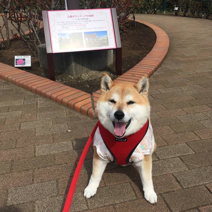 5d35dbea ab2d 48a6 866d 73371f4902ca 1584427022286