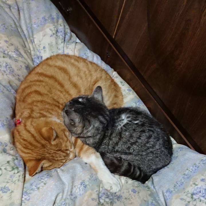 5d35fe16 3f62 4432 8d78 6431a2c5a82d 1579267436704