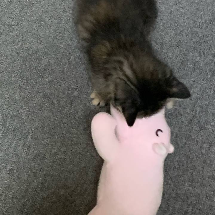 5d3608ce 9df1 4db2 b6e0 cec1c0903167 1589010827386