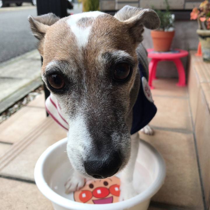 5d363cfc 106b 4c60 9a7f 9649916b121d 1520470562840