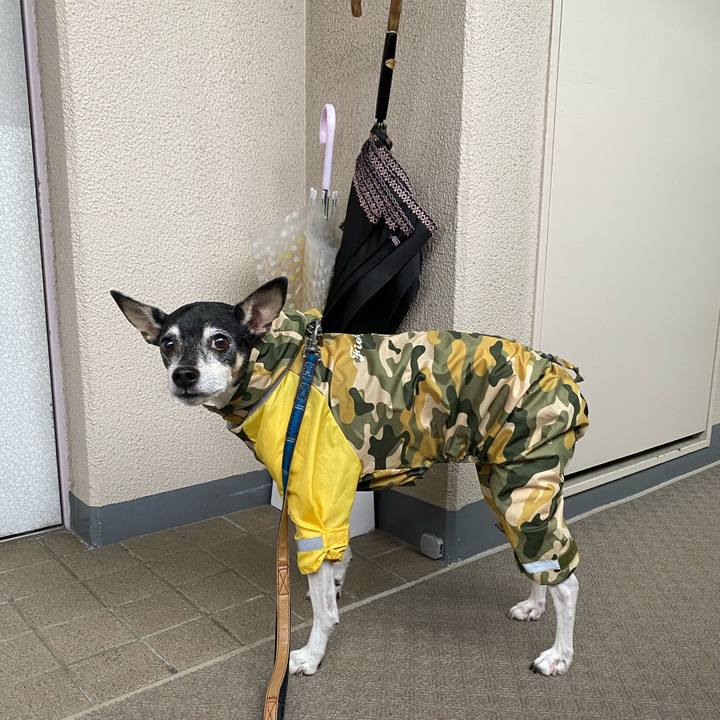 5d363fde afab 4bcc 9f94 7d2072c3d62c 1621600215745