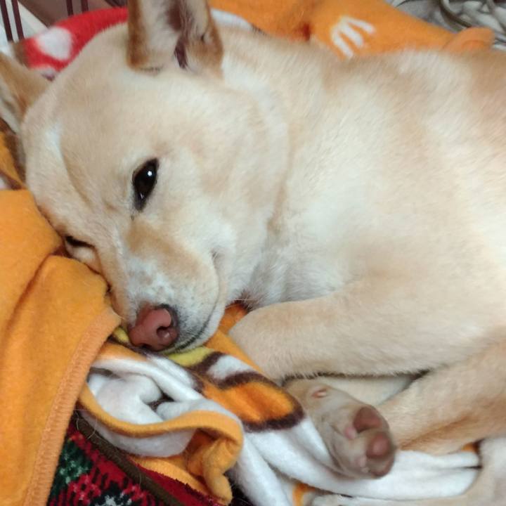 5d366130 37ad 4d41 baee e3b41bb2e2d3 1521291719277