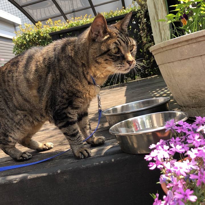 5d3670b7 923d 4262 9635 6feac062131f 1524882768552