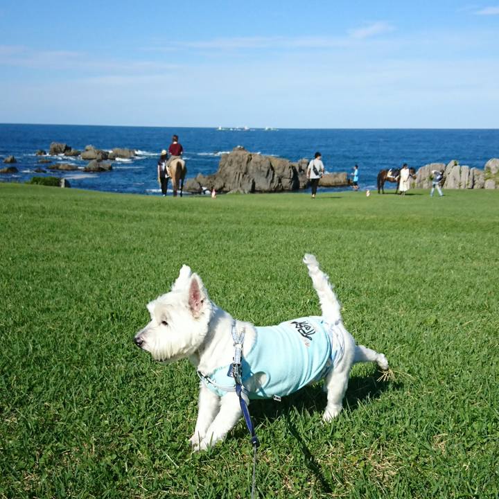 5d3690d8 8eb0 46e4 a535 88244892399c 1534728413540