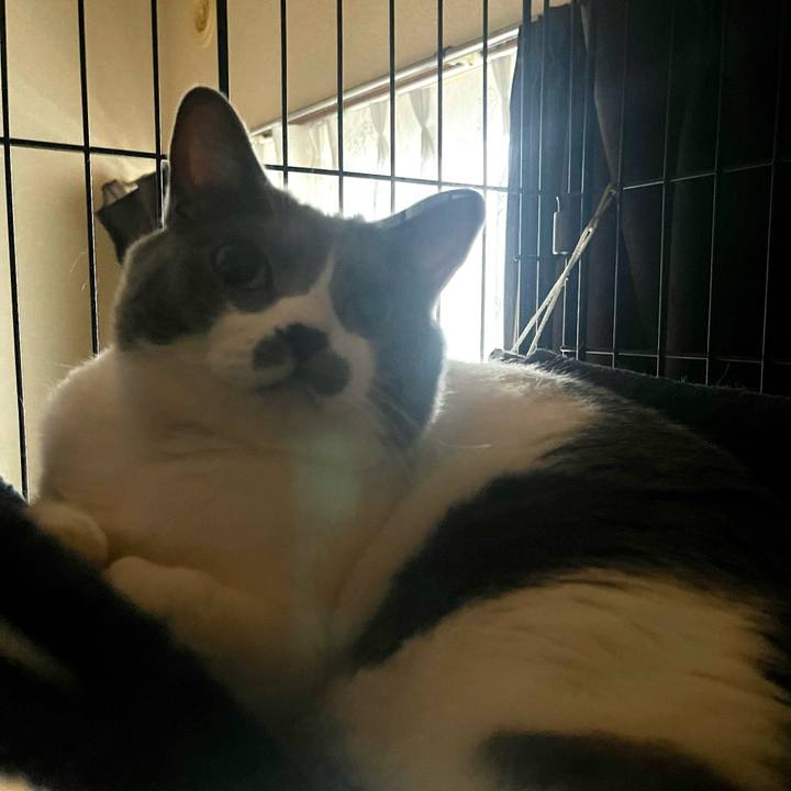 5d36ba0f df9e 4630 a95f 4ee7a4e81d31 1696112233993