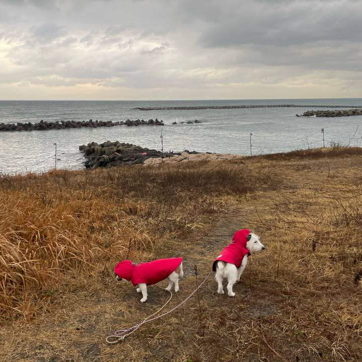 5d36edeb 1bb5 4b0e ae7d a5a9c43e94df 1674000398406