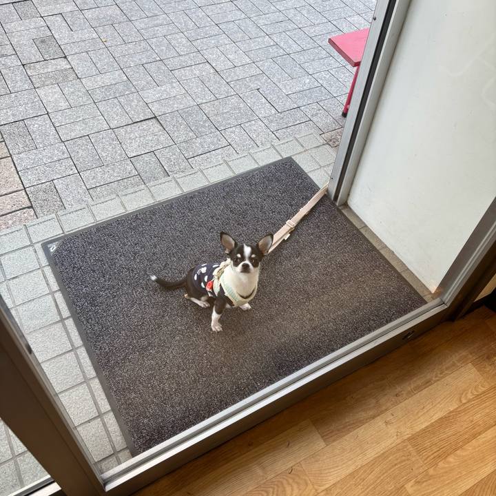 5d36f9d4 f5b5 4b62 bd6b 6b55721e4847 1762492368103