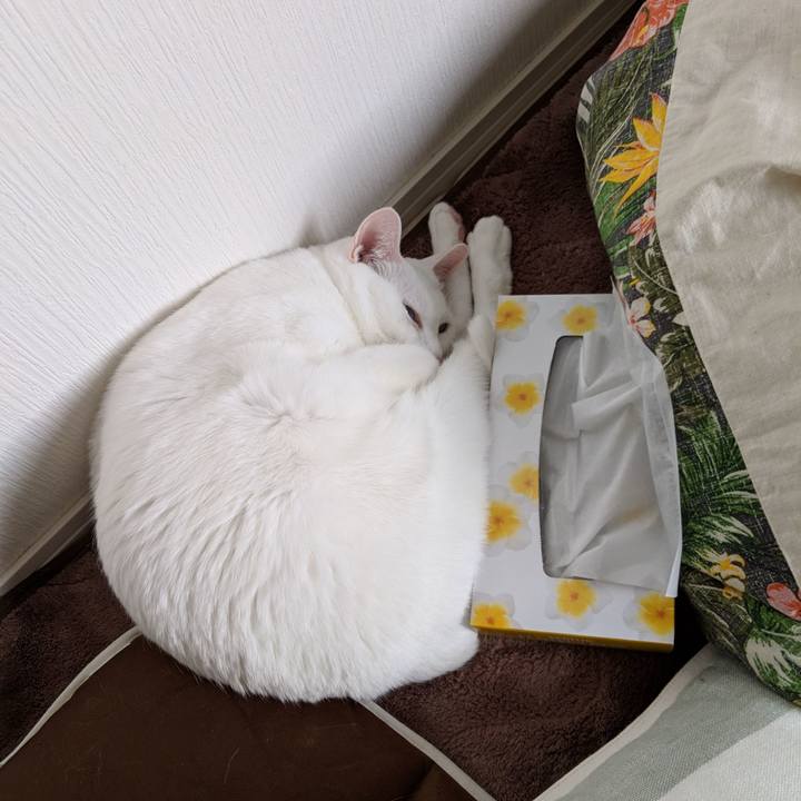 5d372df5 7fe6 4eac bd3e 57410de588be 1550632019309