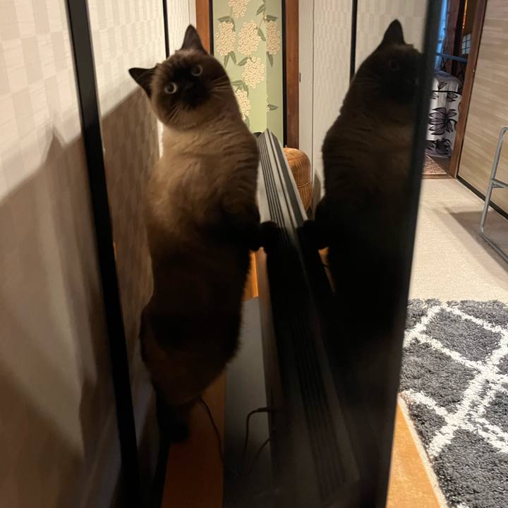 5d374404 d11a 4c18 960a f27bebd2800e 1637571022888