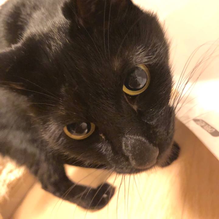 5d37980b 23af 43dc 8650 90b537024ff3 1545478961433