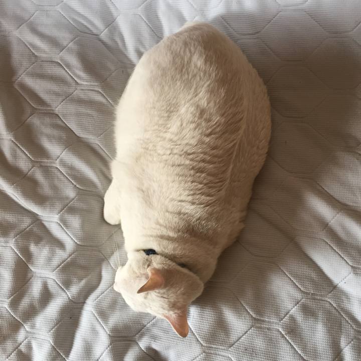 5d37a13e cec0 4cce beeb cfa208a98878 1525317153291