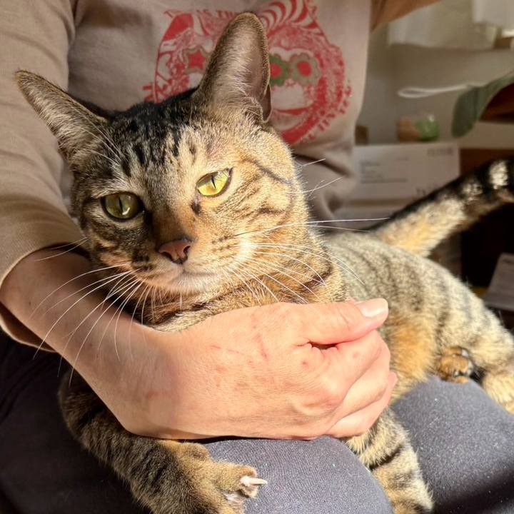 5d37b53d 879f 4406 bd2d eab6cccfc836 1764382152666