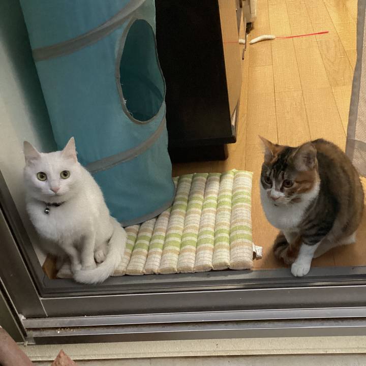 5d380a05 ca12 4d05 bf0d 3d6f21825f5c 1645917097730