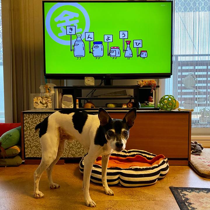 5d3818c5 e9c9 4949 b4f1 54cccdfb8af9 1613081978549