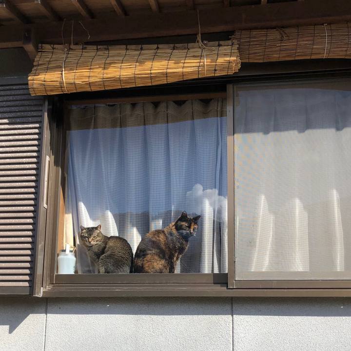 5d3822a8 f24c 4cb4 b139 796ad9bb8f52 1676958396586