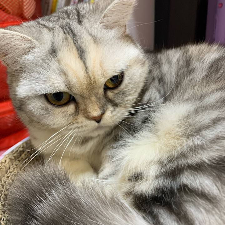 5d38486e b51f 4c03 a338 0c775a64ff7a 1708086476059