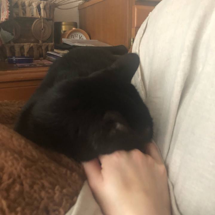 5d385fab 6c2c 4017 9fc6 de3c7691fbbe 1547343442592