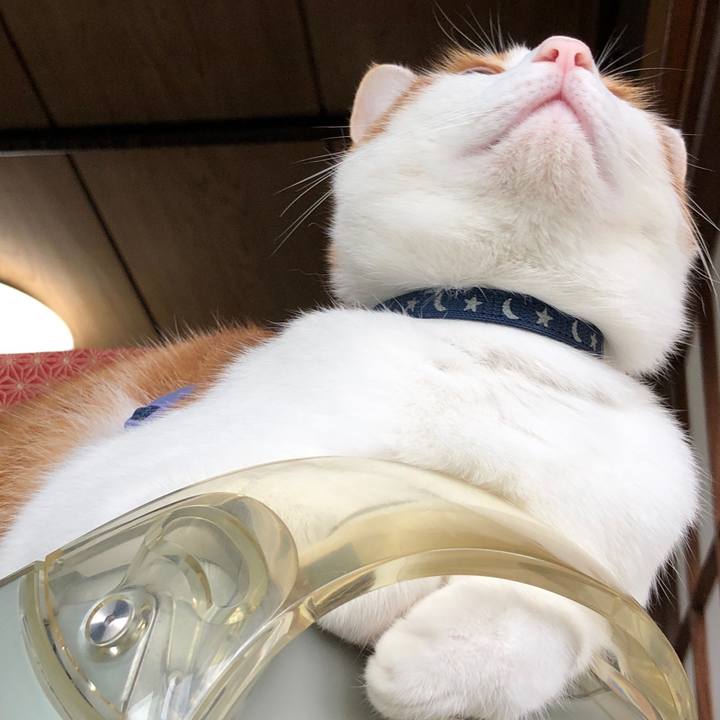 5d387d6c 5f20 4254 8fbe f757640ce22b 1538189139677