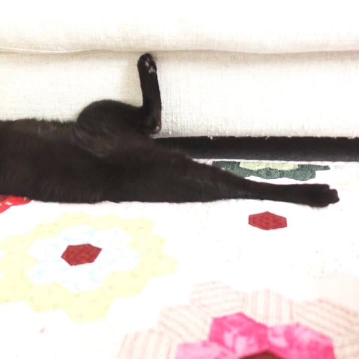 5d387dc9 1af3 4c80 af9e 10056f035ba1 1546399536428