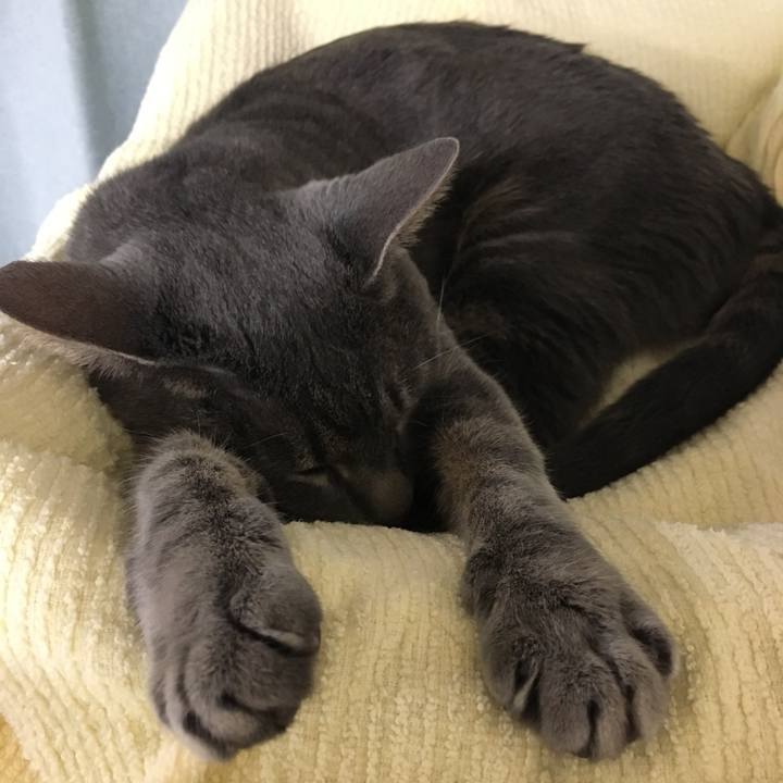 5d38aa31 828e 417e 9cd8 36b590941dc5 1564222871523