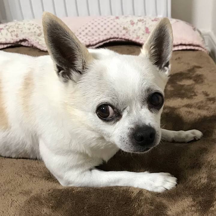 5d38bb15 ba46 4a9d 882c e0b6ff3873c0 1643678943883