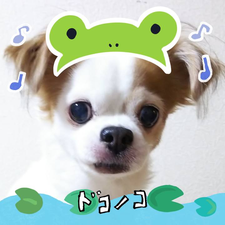 5d38d87b d16a 4993 9f63 82e3af742469 1717680587800