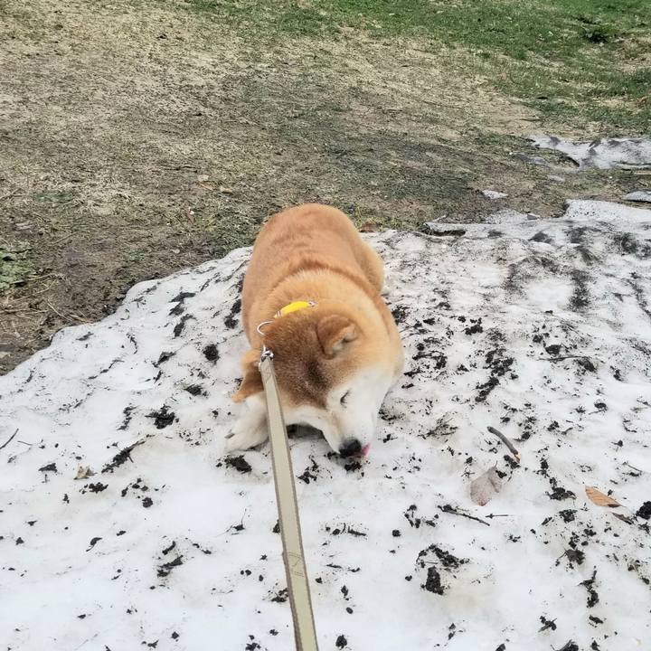 5d38f5d5 8c75 42c1 9306 61aebc6d2975 1680835058844