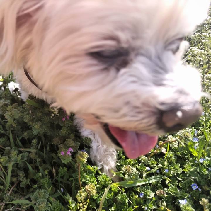 5d38ff9c f6db 451a 911c dc9b22b029de 1711882331954