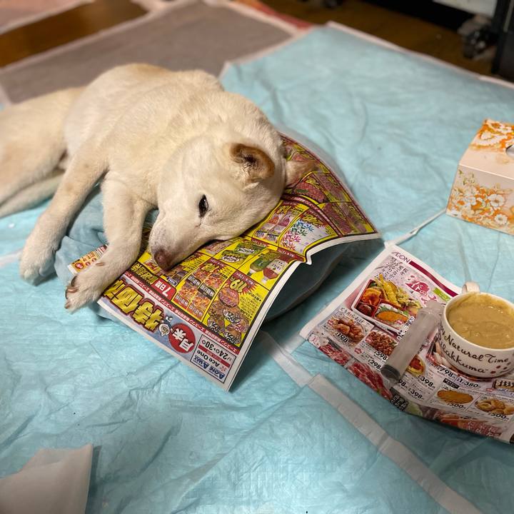 5d390392 a90d 4215 bee5 49a71ff08ce3 1648138572673