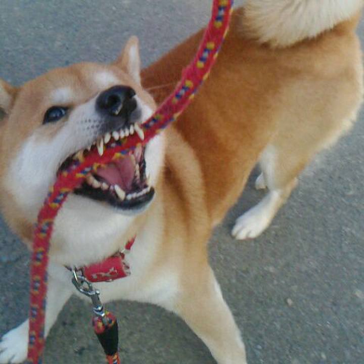 5d395f7e f648 43d8 932c ff9305401280 1516142438306