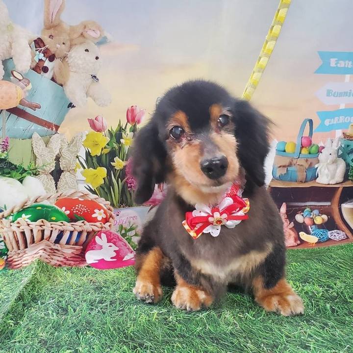 5d39966f d3bb 4a83 8c83 29b15e945a9f 1768299157022