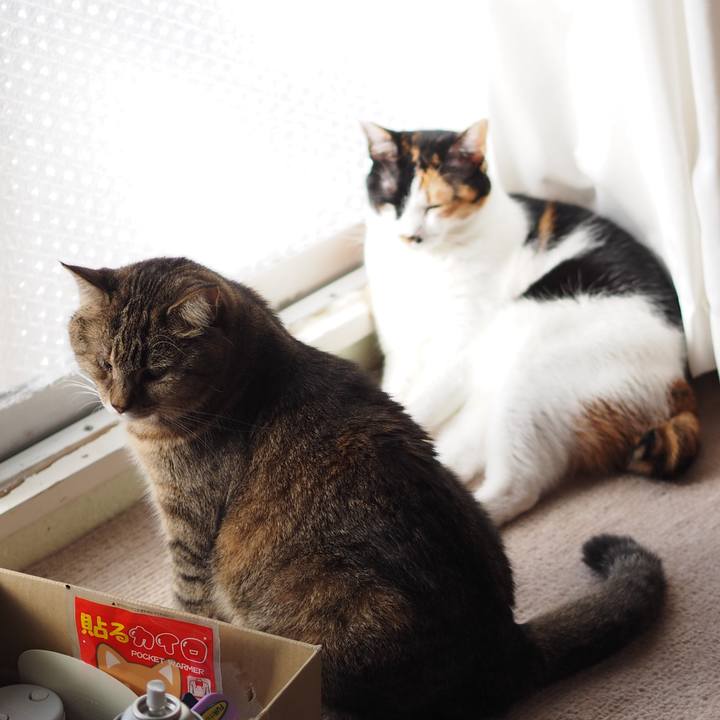 5d39ad7d ba91 4c86 90fa cd2b59b65482 1590118817968