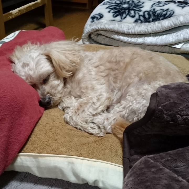 5d39ca2d 8447 4b53 bbf1 38ccddf69b98 1609504999067