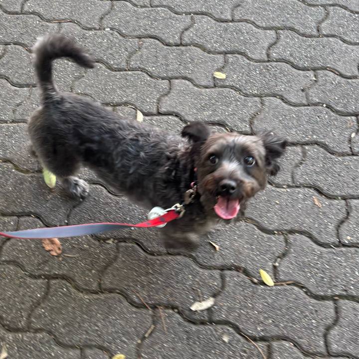 5d39d1c1 1d85 4a61 ba06 3f667449ecb3 1757336779792