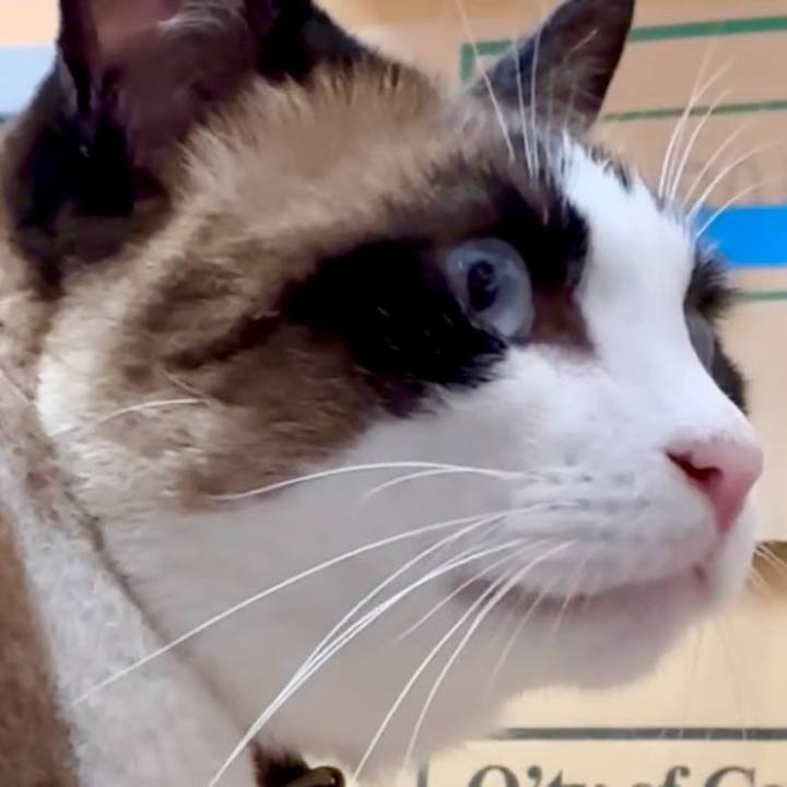 5d39f7b4 44d5 4722 9c28 05c7ae65b8b9 1752288772131