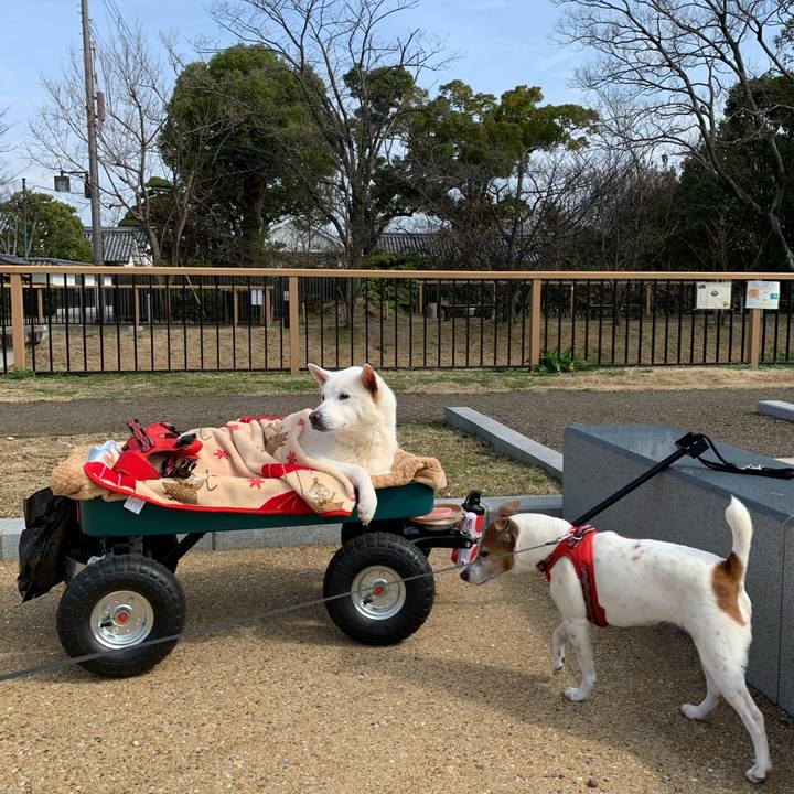 5d39ffb8 197d 4d7c 9194 e6ee1debd9ec 1583042459349