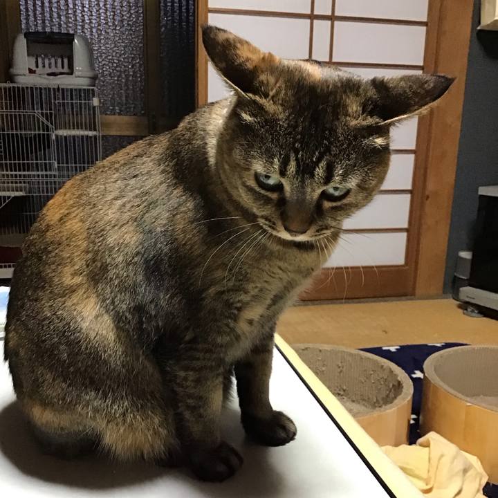 5d3a4d1e d7ce 4bdf b1d2 cc8eac3a7696 1738064671825