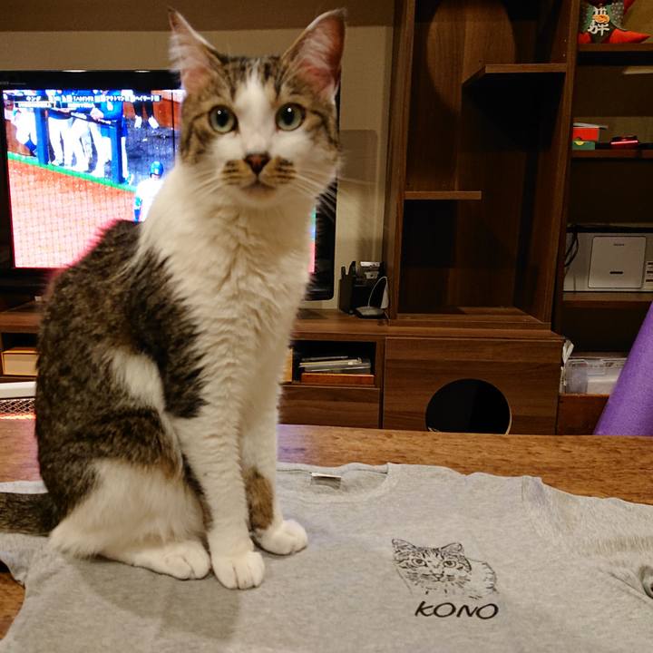 5d3ae84d 793c 42bd b145 d689fa9dc988 1712888793961