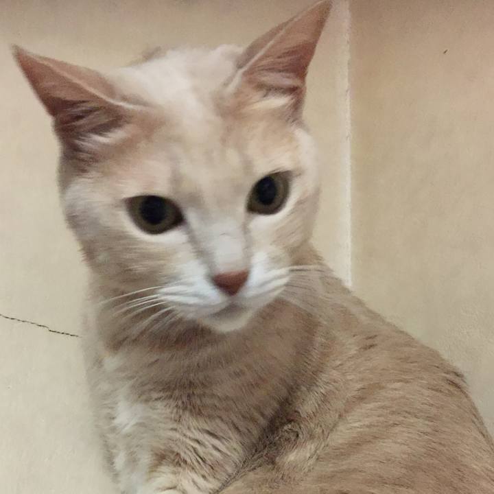 5d3b0461 6fb5 4e02 a671 89bcc6729122 1544442992572