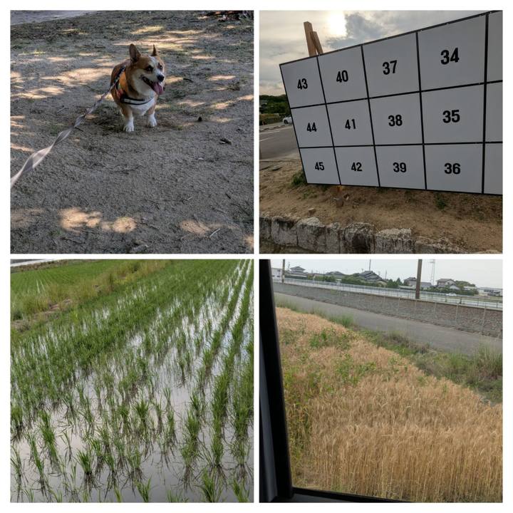 5d3b1458 c5b0 4044 bbdc 1a7307631cfe 1749378250607