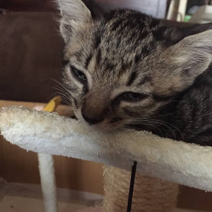 5d3b1f9a c589 445e 9761 38b0c1c6796d 1534388450605