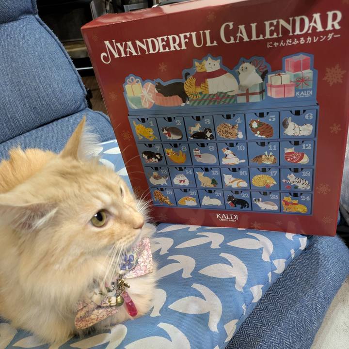 5d3b2130 129c 45b8 8f38 afbefa9912f8 1762513914635