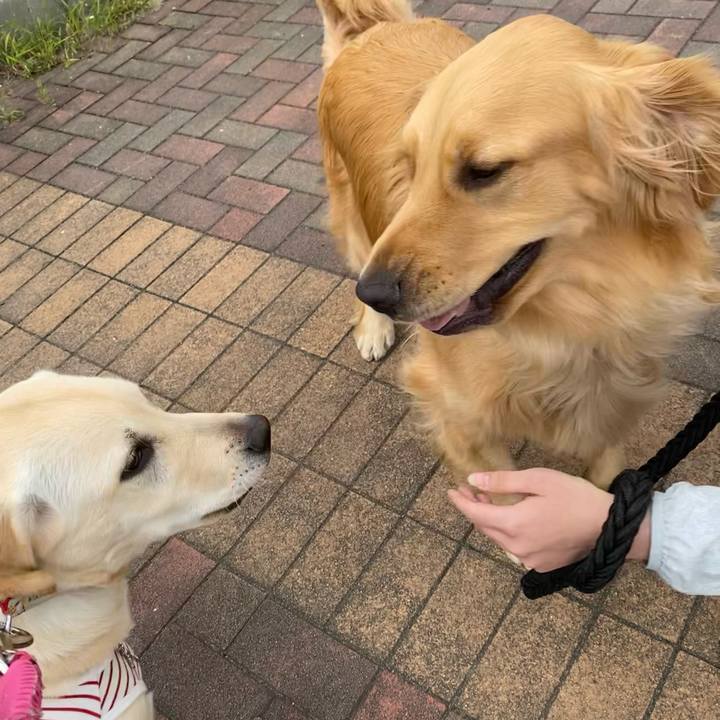 5d3b26f1 24b4 4225 ae99 0851c875ab6d 1619873585240