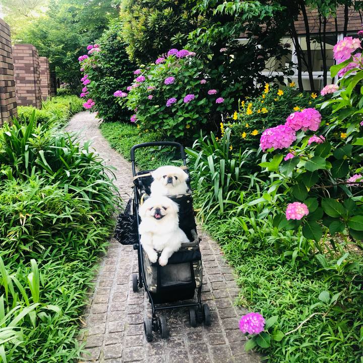 5d3b2871 017b 497c 92e2 9acc902c0ff0 1622677893246