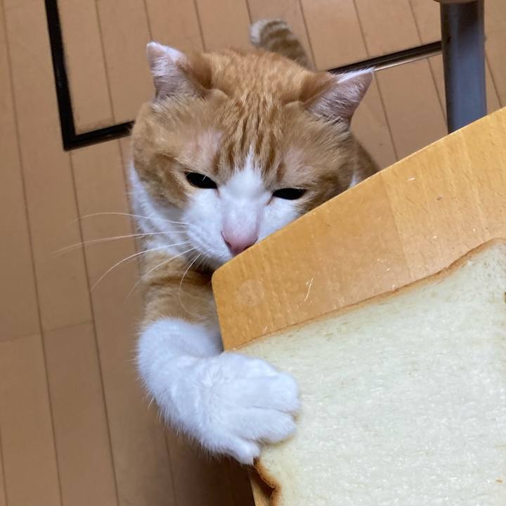 5d3b9d5e d589 43a6 aa8c 14a72ac653f8 1765235939772