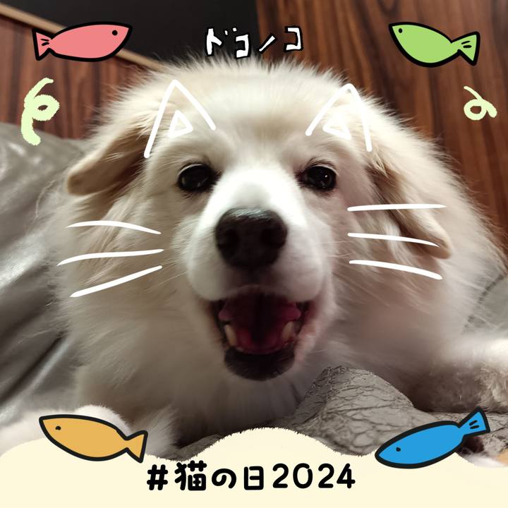 5d3ba9ed 8c03 43e0 8457 9751630f58d4 1708551086819