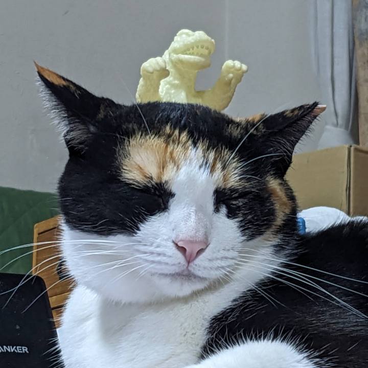 5d3bd889 7c2a 4d4b a8cf bbd2b6d7ef7d 1761885379600