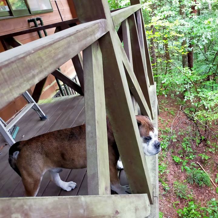 5d3be06f 1ac0 4cf9 b0ed 50e8f5eb41a9 1628659774254