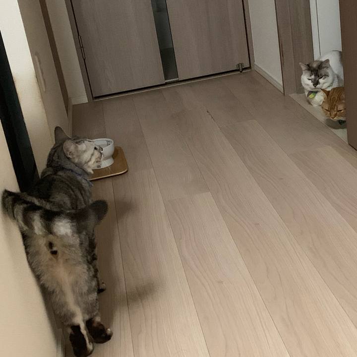 5d3bec47 8b5b 4ed0 b0fa 16c758664a46 1562488429722