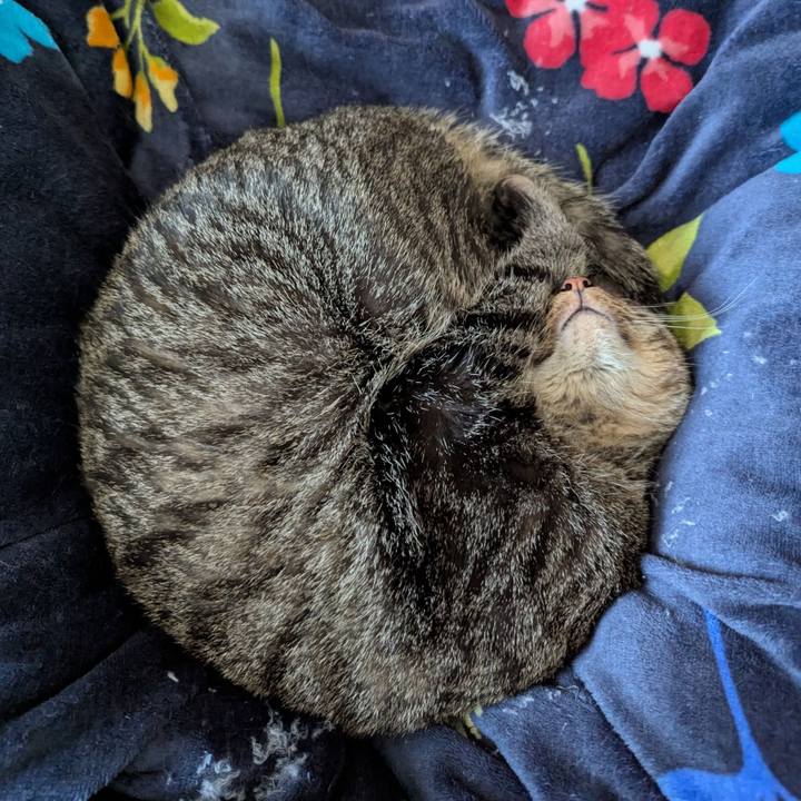 5d3bfa64 fa60 4fce b3b9 b714b32973c9 1770851845900